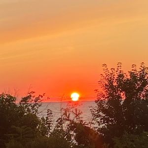 Meet your Posher, Therese